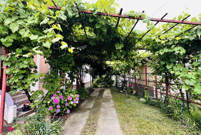 Casa de vacanta - Homoraciu - 20