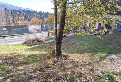 Teren Sinaia in suprafata de 532 m2 - 2