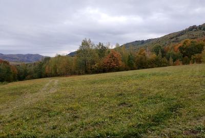 Teren ideal recreere/conectare cu natura/zona Fagaras/achitare in rate - 11