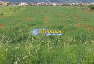 Teren intravilan 4300 mp de vanzare Alba Iulia, Zona Cetate - 2