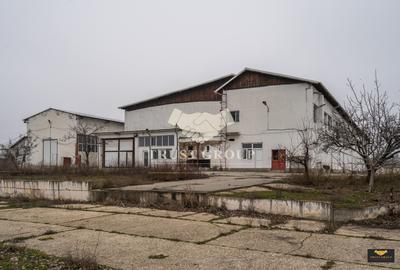 Teren 28.788m + Hale industriale + Sediu Firma - 31