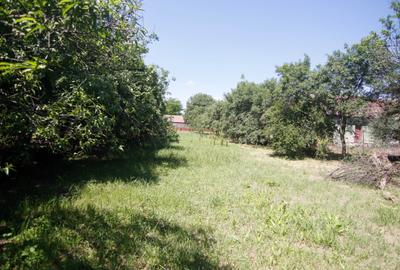 Casa tip conac, doua corpuri, cu 2.471 mp de gradina si doua fronturi. - 12