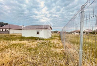 Teren Intravilan cu Constructie Zimandu Nou - 24