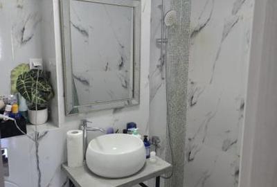 2 Camere Dristor -Camil Ressu,Decomandat,9/10 - 6