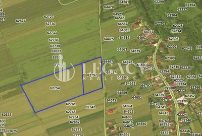 Teren pentru investiție, intravilan + extravilan, Mogoșești-Siret - 2