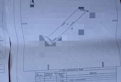 Teren Bradu / Pasarela , Intravilan / Arabil ! - 7