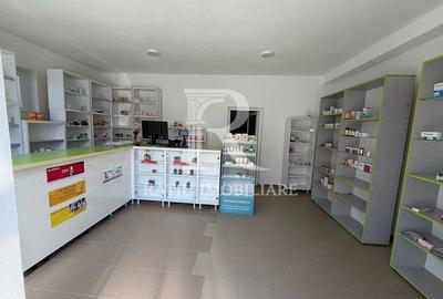 Spațiu comercial, de 60 mp, în Pocioveliște