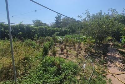 Hala procesare carne, stare perfecta,teren 4300mp intravilan, cumpana, constanta - 26