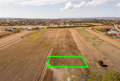 RECO Teren intravilan Tileagd 577 MP - 4