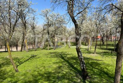 Teren intravilan imprejmuit 789mp UTILITATI URBANISM Poplaca - 4