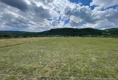 TEREN INTRAVILAN 8000 MP | PARTIAL IMPREJMUIT | PESTERE | BIHOR | - 2