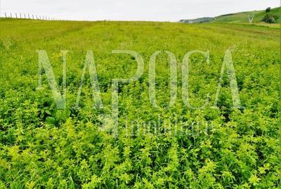 Teren extravilan pentru constructii de vanzare in Popesti - 2