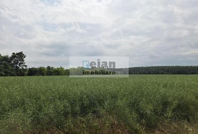 Ciolpani - DN 1,  892 Mp, Toate Utilitatile, Gaz, Curent,20 Deschidere - 5