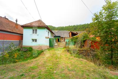 Casă de renovat în Tălmăcel – investiție - 3