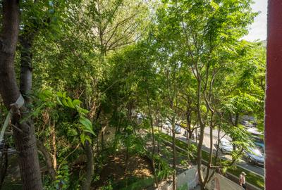 Apartament 2 camere Brancoveanu, stradal, bloc reabilitat - 13