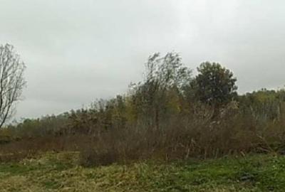 Teren agricol extravilan de 4175 mp, în Puchenii Mari