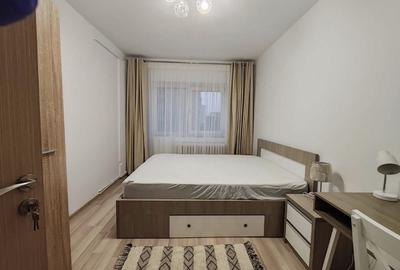 Ap2 cam Podu Ros, renovat, mobilat si utilat! - 4