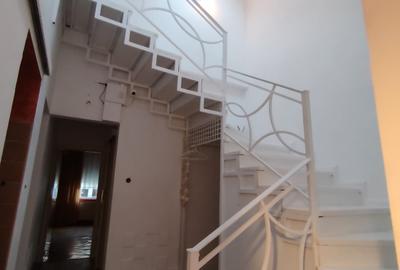Comision 0. VILA-POPA NAN- O oaza de liniste si verdeata in centrul orasului. - 9