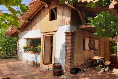 Casa noua cu 6500mp teren si anexe la Hudum - 2