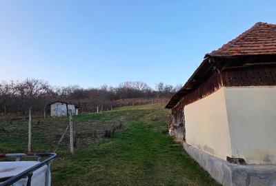 CASĂ CU TEREN  DE VÂNZARE ÎNTRO ZONĂ FRUMOASĂ SI LINISTITĂ - 12