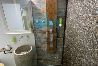 Apartament Duplex 3 Camere Cismigiu - 27