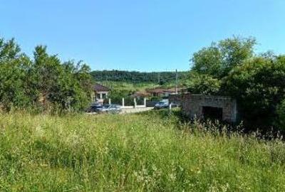 Teren extravilan 8.008 mp, HUNEDOARA, HASDAT - 4