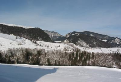 Sat Pestera,  Rezervatia Piatra Craiului, Brasov, Casa  plus teren 10 621 m - 1