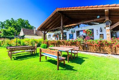 Hotel Bielmann,unicitate si profitabilitate optima in turism,Sanpetru, Brasov - 11