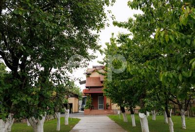 Bascov | Casă individuală spațioasă | Teren 937 mp - 1