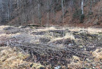 De vanzare teren intravilan AZUGA - 10