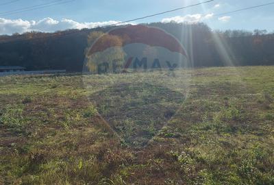 Teren intravilan de vanzare in Hidiselul de Jos, jud.Bihor - 7