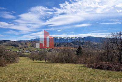 TEREN 11.500 MP + CASA AUTHENTICA ÎN BRAN – ȘIMON | VEDERE BUCEGI - 7