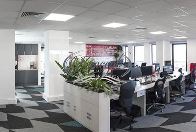 Birou, 241.88 mp în Mărăști