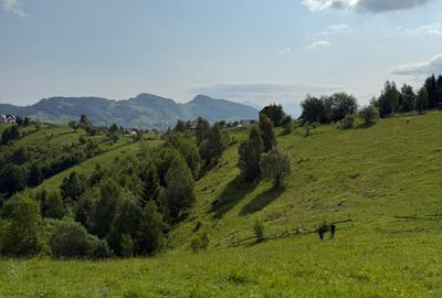 Teren superb intravilan  Pestera- Brasov, 11.908 mp - 5