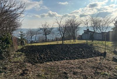 Vand Casa PLATOUL Cornesti str. CORNESTI- teren 1150 mp - 13