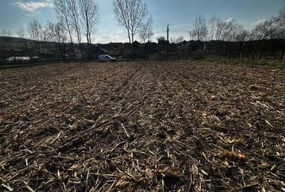 Vand sau schimb Teren extravilan 9000 mp,Corușu, Baciu acces drum apa curgatoare - 16