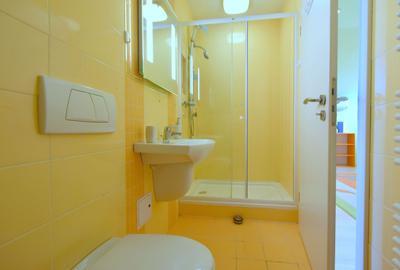 Casa cu garaj - zona Aradului - 23