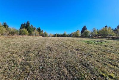 Teren Intravilan,Autorizatie de Construire,4483 mp, situat in Marisel! - 4