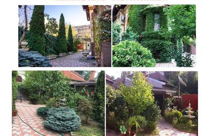 Vila interbelica de LUX consolidata integral, Matei Basarab, Traian - 32