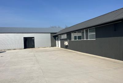 Spatiu de Productie de vânzare. - 1