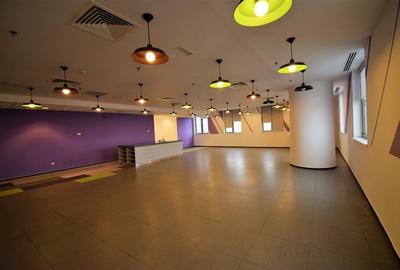 Bucharest Business Center, Victoriei, 396 - 5102 mp  0% comision! - 15