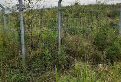 Teren intravilan Fundulea, 2750/25, utilități, ieftin, aproape de balta - 7