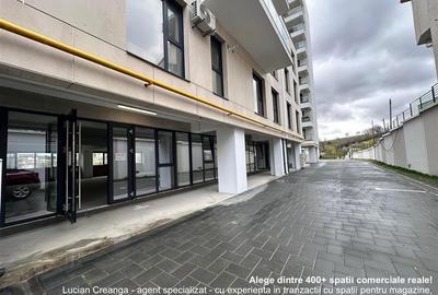Spațiu comercial, de 523 mp, în Păcurari