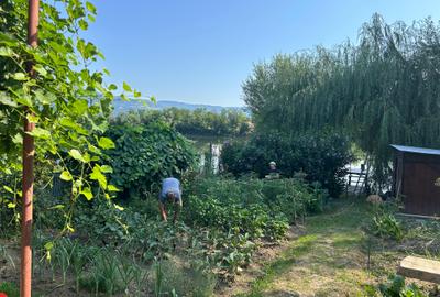 Inchiriem cabana in Calimanesti (Seaca), cu ponton la Olt, gradina - 6