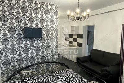Apartament o camera tip studio de inchiriat,zona Brancoveanu Timisoara - 2