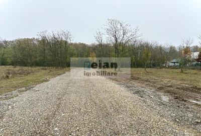 Snagov Ciofliceni - Teren 716 mp, d 30 m, gaz, curent, asfalt, padure - 1