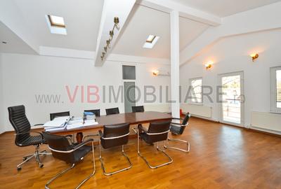 1 Mai, Inginer Zablovschi, Vila D+P+1E+M, 600 mp construiti, ideala birouri, cli - 14