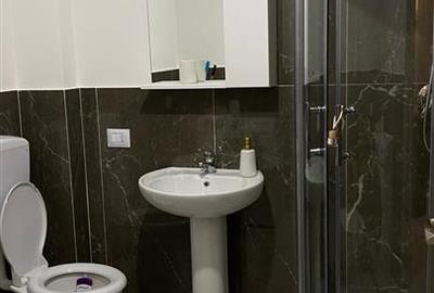 Inchiriere ap. 2 camere, open-space, Bucium-Visan, prima inchiriere - 5