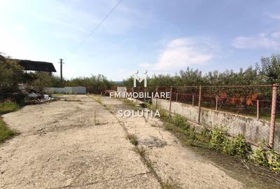 Complex industrial  cu teren 18,672 mp Târgu Lăpuș - 23