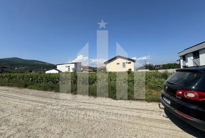 Teren intravilan | De vanzare | 5000 mp | 150 ml deschidere | Micesti - 4